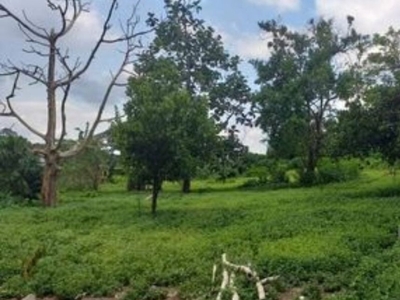 3596 sqm Agricultural Lot for Sale in Malvar, Batangas