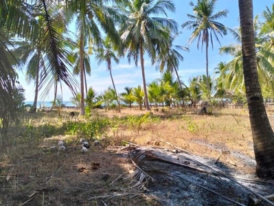 Lot For Sale In Ambil, Looc