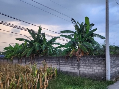 Lot For Sale In Magalang, Pampanga