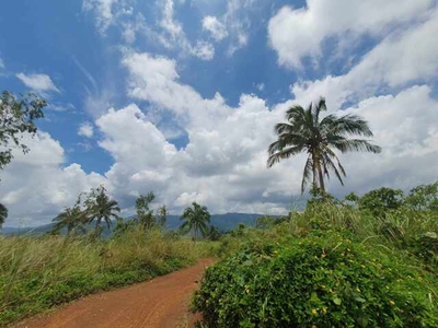 Lot For Sale In Mamuyao, Tanay