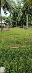 Lot For Sale In Sicayab, Dipolog