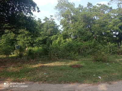 Plot of land Carcar For Sale Philippines