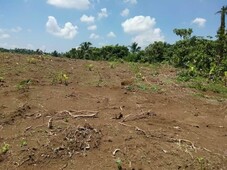 farm lots in amadeo cavite city