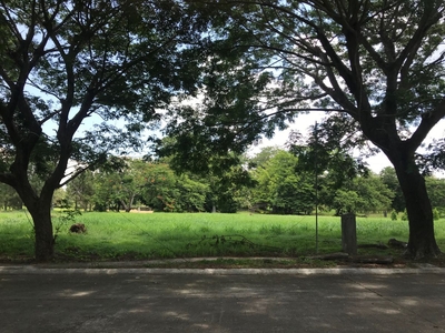 Premium Wedge Woods Silang Lot For Sale with view of Laguna Lake