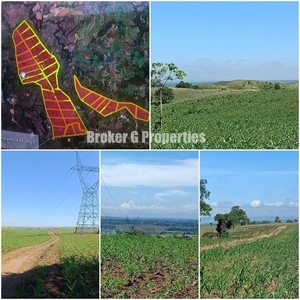 Agri Lot 156 Hectares for sale in Tumauini, Isabela