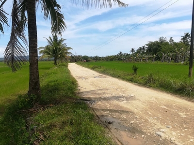 For Sale: 13.6 Hectares Agricultural Lot in Sta. Ana, San Francisco