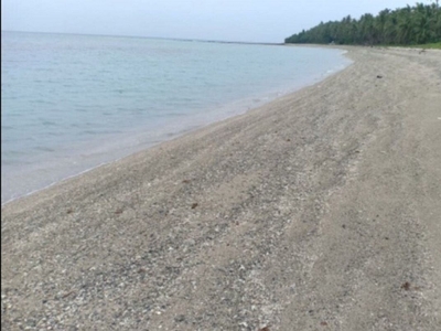 For Sale: 7 Hecaters Beach Lot Property at Cabarian, Ligao, Albay