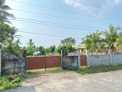 Lot for sale - 1000 sqm. - Albay, Bicol Region