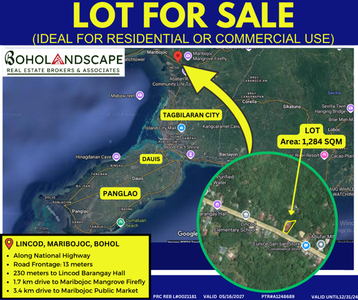 Lot For Sale In Lincod, Maribojoc