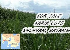 agricultural lot for sale in mandaluyong