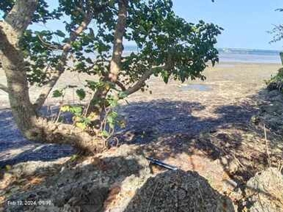 Lot For Sale In Arnedo, Bolinao