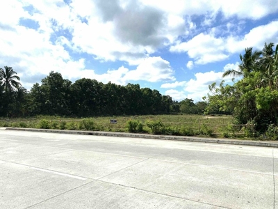 Lot For Sale In Banaybanay, Amadeo