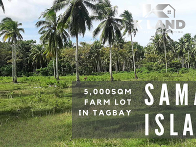 Lot For Sale In Island Of Garden Samal, Samal, Davao Del Norte