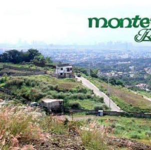 Lot For Sale In Muzon, Taytay