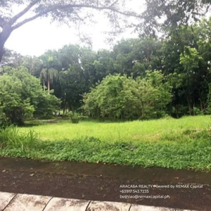 Lot For Sale In Santa Rosa, Laguna