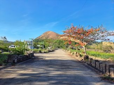 Minor Road Regular Lot (175 sqm) for Sale in Coron, Palawan at Fernvale Village Coron