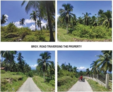 Lot For Sale In Balisong, Argao