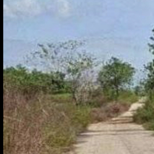 Lot For Sale In Malabbac, Iguig