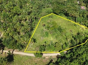 Lot For Sale In Libertad, Baclayon