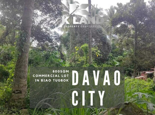 Lot For Sale In Tugbok, Davao