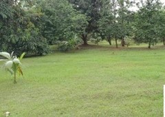 Other property for sale in Majayjay
