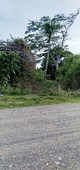 1.01 Hectares Title lot rush Sale 990k only