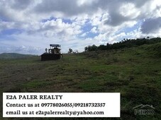 land and farm for sale in daraga