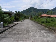Lots in rustic subdivision For Sale Philippines