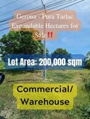 Gerona - Pura Tarlac for Sale 20 hectares expandable??