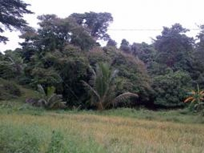 agricultural lot for sale For Sale Philippines