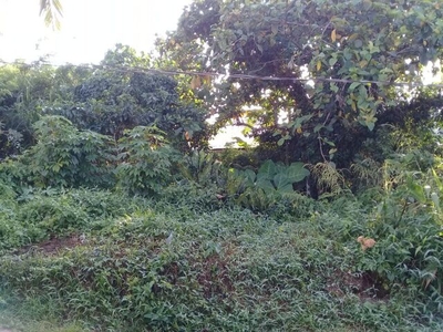 Lot For Sale In Lumil, Silang