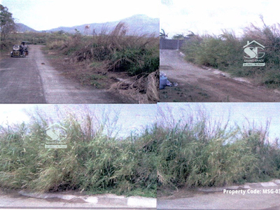 Lot For Sale In Makiling, Calamba
