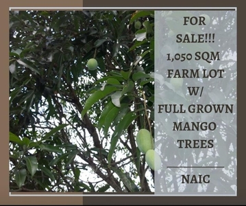 Lot For Sale In Palangue 1, Naic