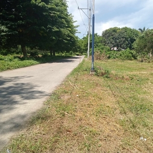 Lot For Sale In San Agustin, Tiaong