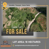 Resort Development & Farm Lot For Sale
