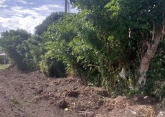 Agricultural lot for sale Rosario Batangas