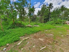 RUSH LOT FOR SALE ALONG NATIONAL HIGHWAY
