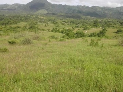 hectares lot in masbate for sale