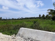 1000sqm Portion of a Titled land Buhing Calipay Siargao