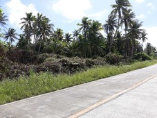 12506sqm of Land Pilar Siargao Island Surigao del Norte Philippines