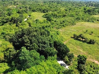 Lot For Sale: Newly opened site ideal as Resthouse in Bolinao Pangasinan