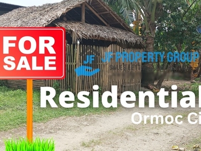 Lot For Sale In Danhug, Ormoc