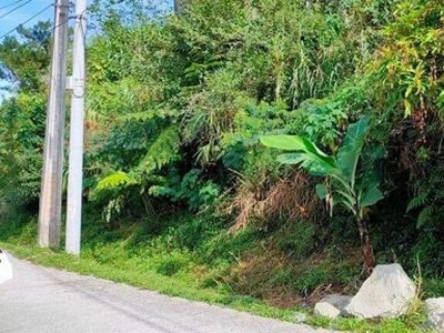 Lot For Sale In Irisan, Baguio