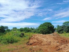 Lot for sale at Initao