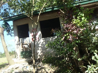 111 Sqm House And Lot Sale In Akbar