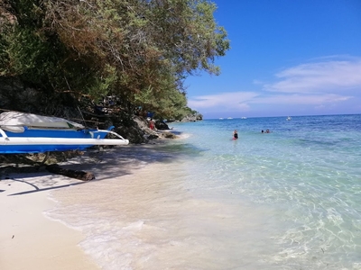 Beach Lot in Panglao for Sale!