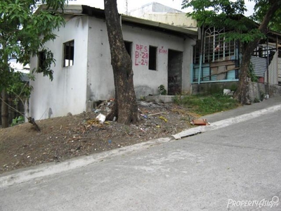 102 Sqm House And Lot Sale In San Mateo
