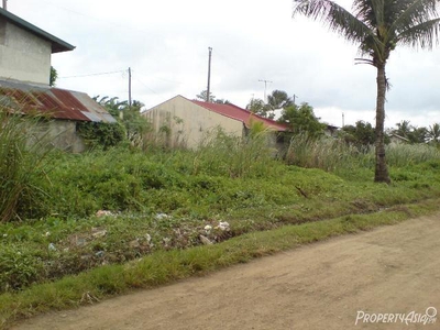 182 Sqm Residential Land/lot Sale In Lucena City