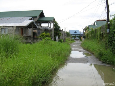 200 Sqm House And Lot Sale In Guagua