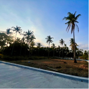 Lot For Sale In Banaba Cerca, Indang